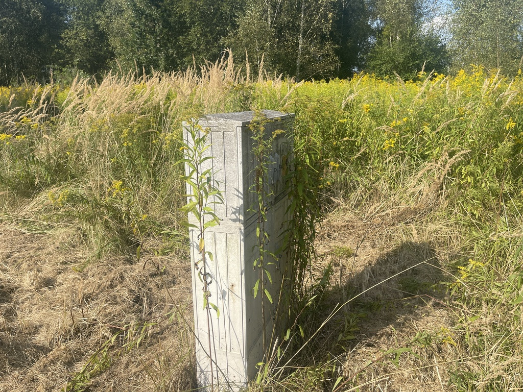 Działka Sprzedaż Żółwia Błoć 8