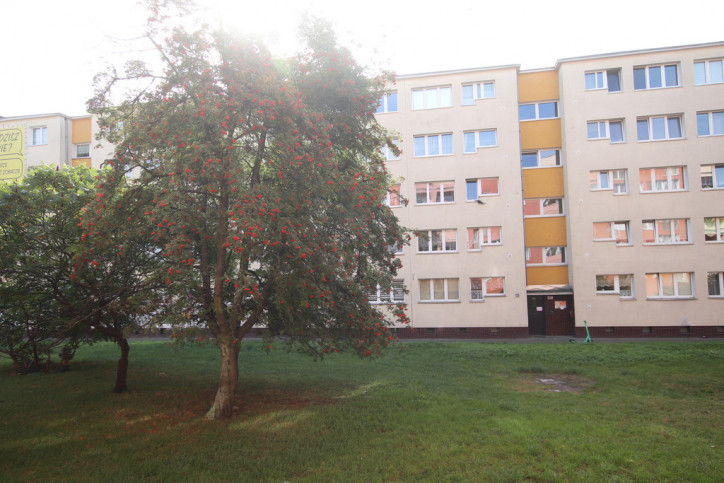 Mieszkanie Sprzedaż Szczecin Centrum al. Wyzwolenia 10