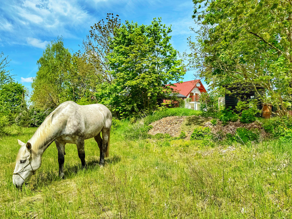 Dom Sprzedaż Trzeszczyn 39