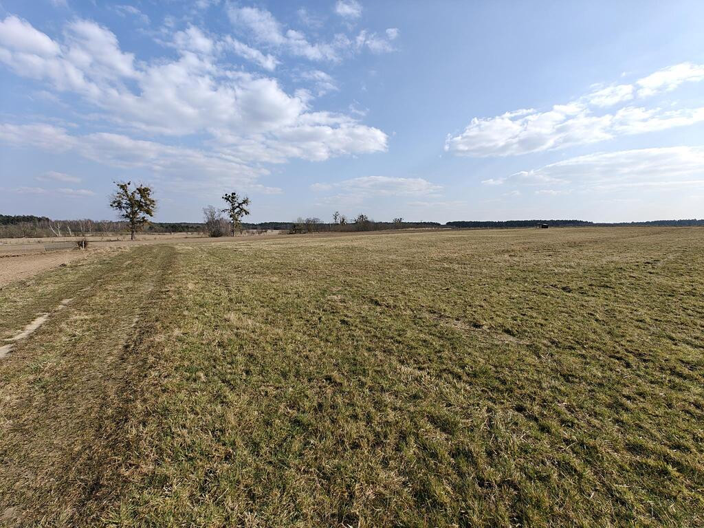 Działka Sprzedaż Stepnica