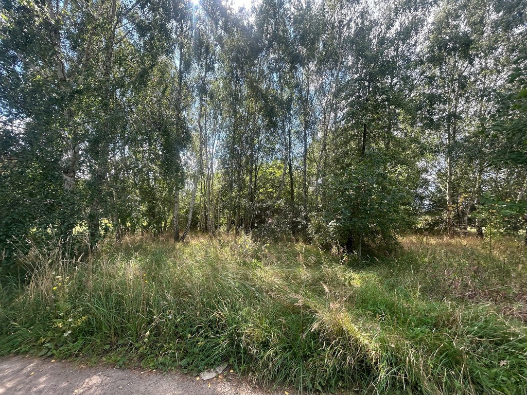 Działka Sprzedaż Dołuje 5