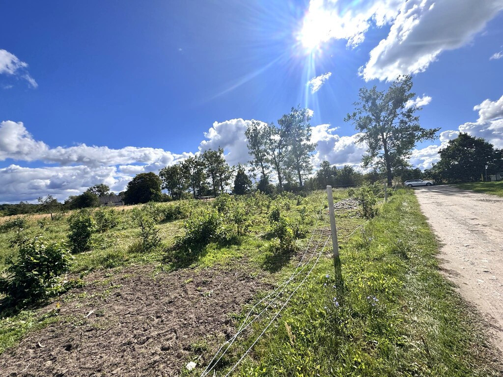 Działka Sprzedaż Białuń 6