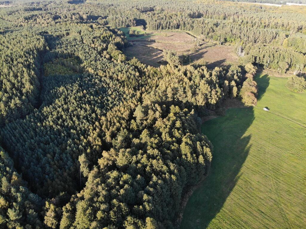 Działka Sprzedaż Goleniów 6
