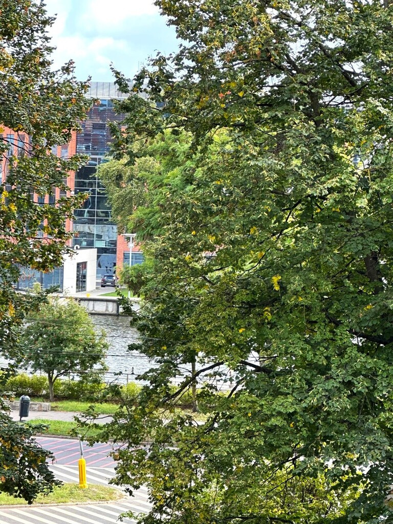 Mieszkanie Wynajem Szczecin Stare Miasto 15
