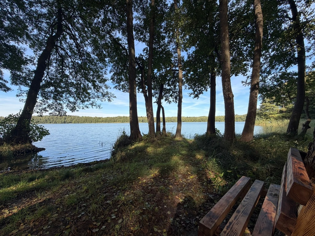 Działka Sprzedaż Myślibórz Wielki