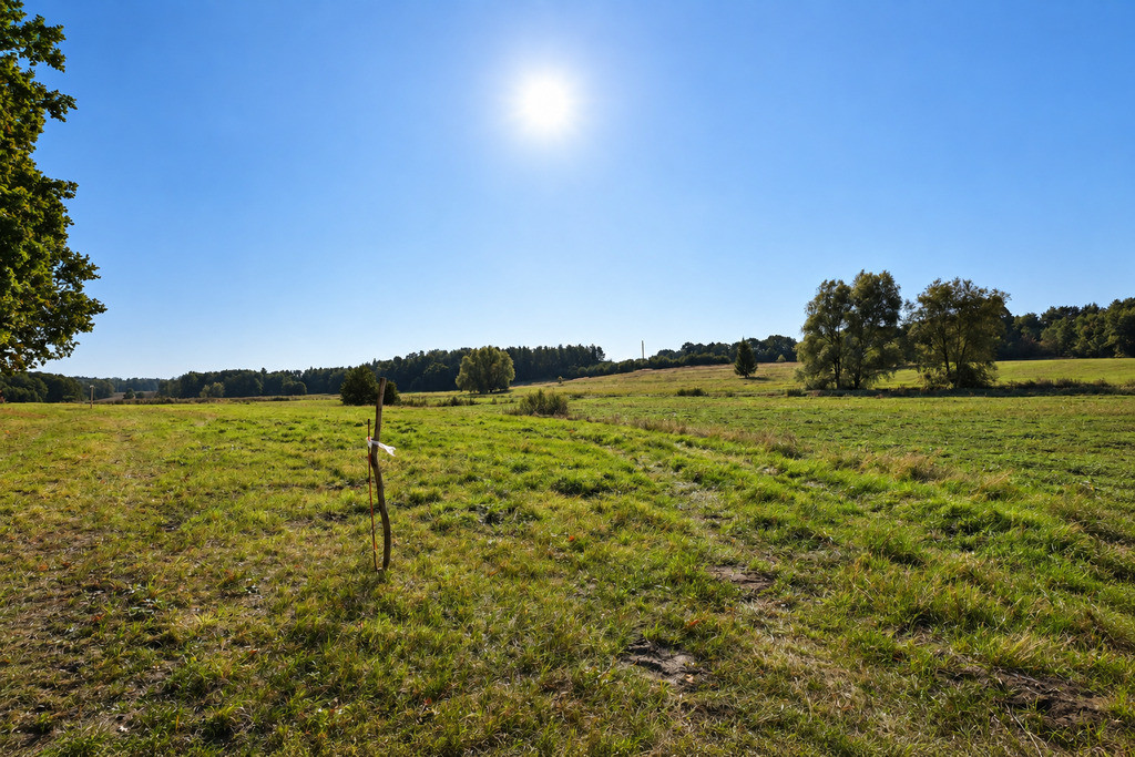 Działka Sprzedaż Radzanek 7
