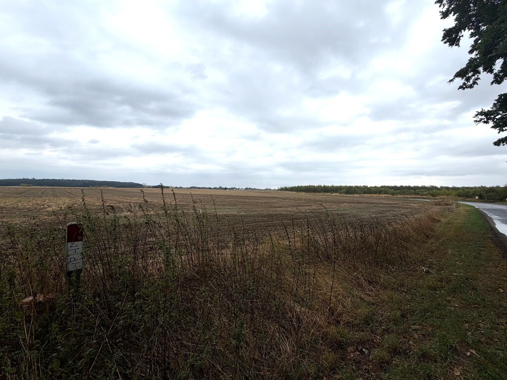 Działka Sprzedaż Pyrzyce Czerwonomłyńska 2