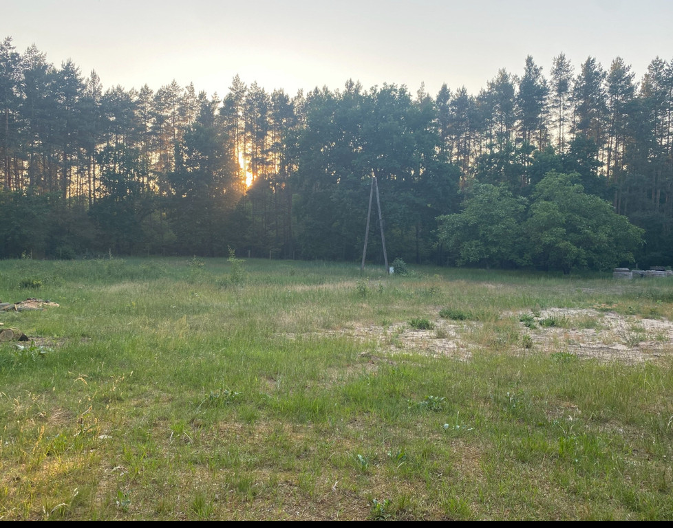 Działka Sprzedaż Trzebież 6
