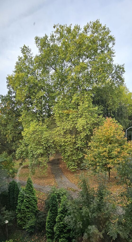 Mieszkanie Sprzedaż Szczecin Niebuszewo Jana Żupańskiego 10