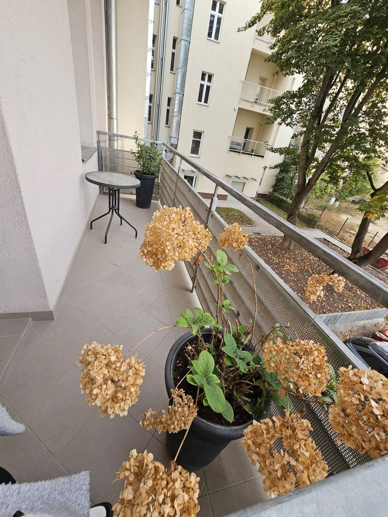 Mieszkanie Sprzedaż Szczecin Śródmieście-Centrum Księcia Bogusława X 4