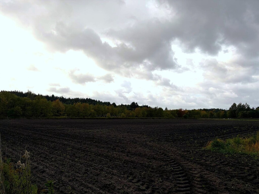 Działka Sprzedaż Szczecin Sławociesze Stary Szlak 3