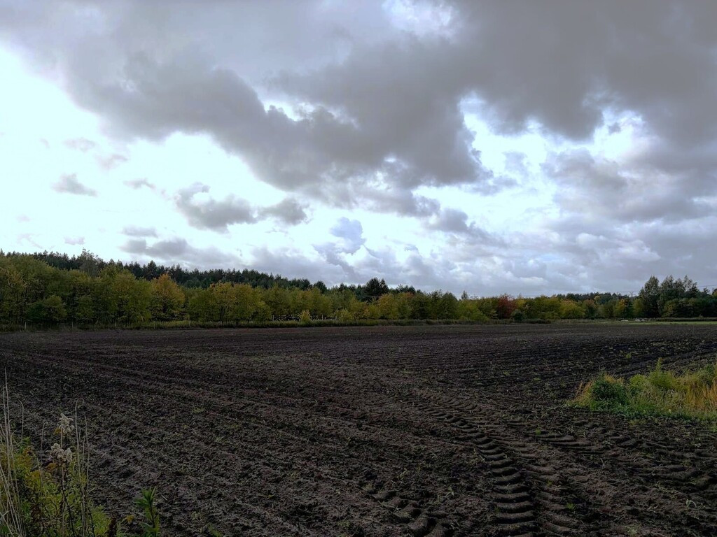 Działka Sprzedaż Szczecin Sławociesze Stary Szlak 4