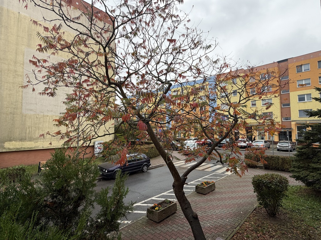 Mieszkanie Sprzedaż Police Przyjaźni 13