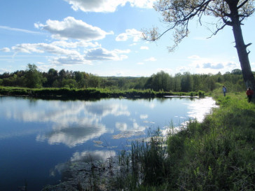 Działka Sprzedaż Bobolice