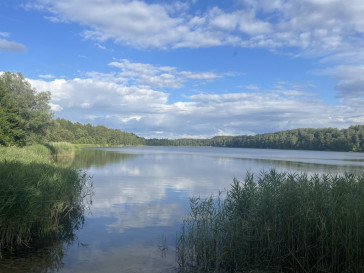 Mieszkanie Sprzedaż Czarnogłowy