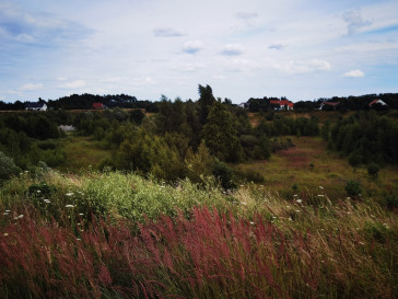 Działka Sprzedaż Kołczewo