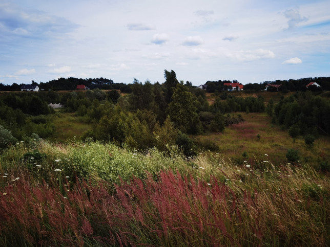 Działka Sprzedaż Kołczewo 6