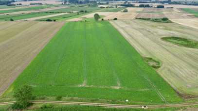 Działka Sprzedaż Bielice