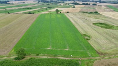 Działka Sprzedaż Bielice