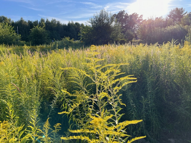 Działka Sprzedaż Kobylanka 5