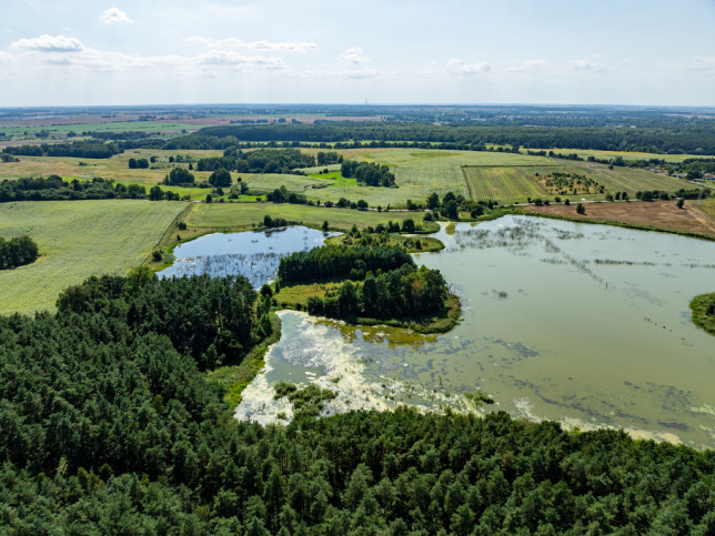 Działka Sprzedaż Binowo 1