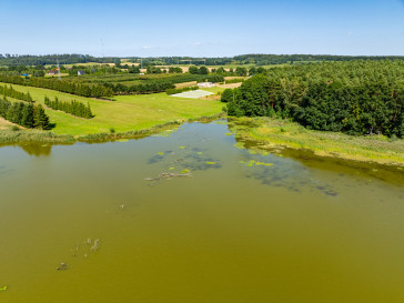 Działka Sprzedaż Binowo