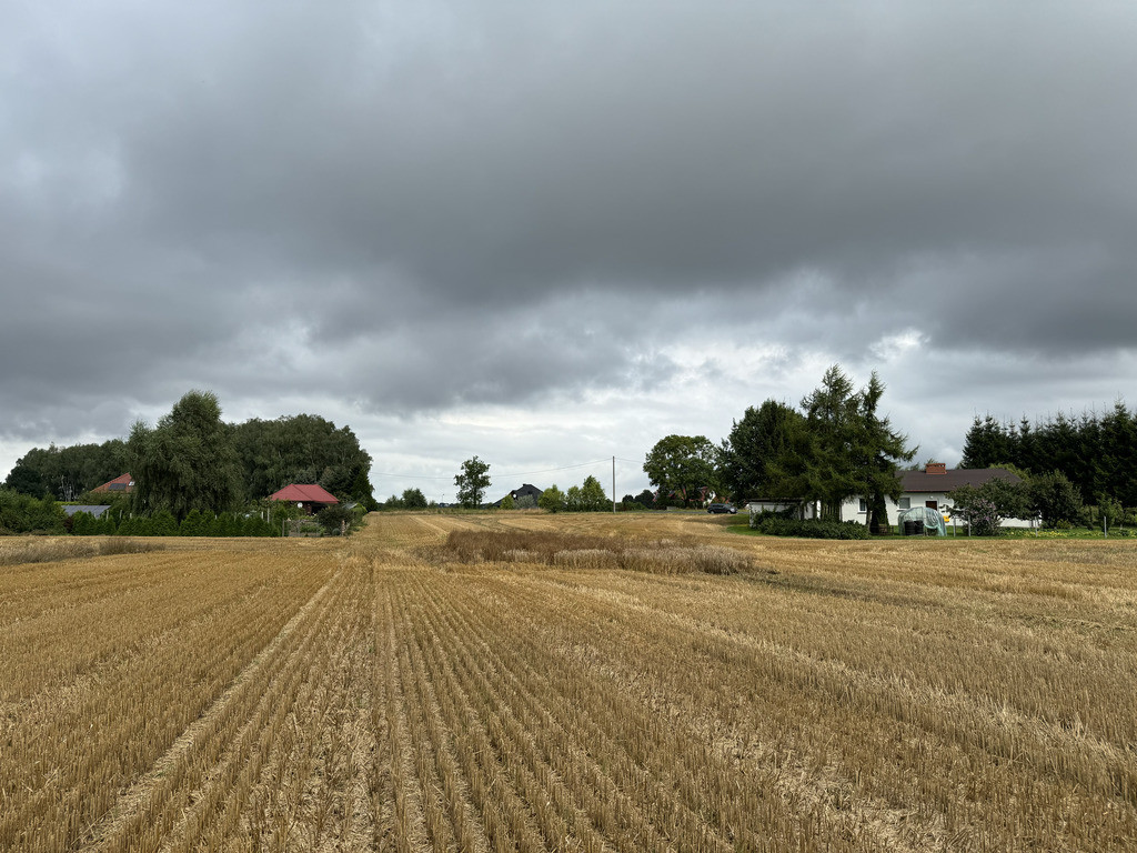 Działka Sprzedaż Kolonia Maszewo