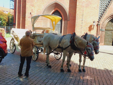 Mieszkanie Sprzedaż Szczecin Śródmieście-Centrum Grodzka