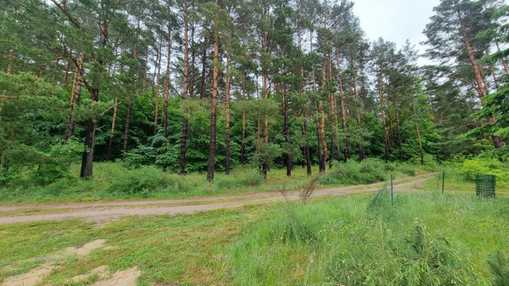 Działka Sprzedaż Wisełka 19