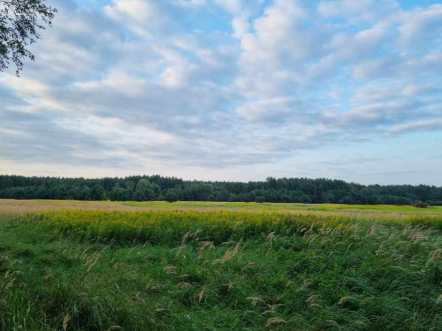 Działka Sprzedaż Szczecin Wielgowo Żywiczna 1