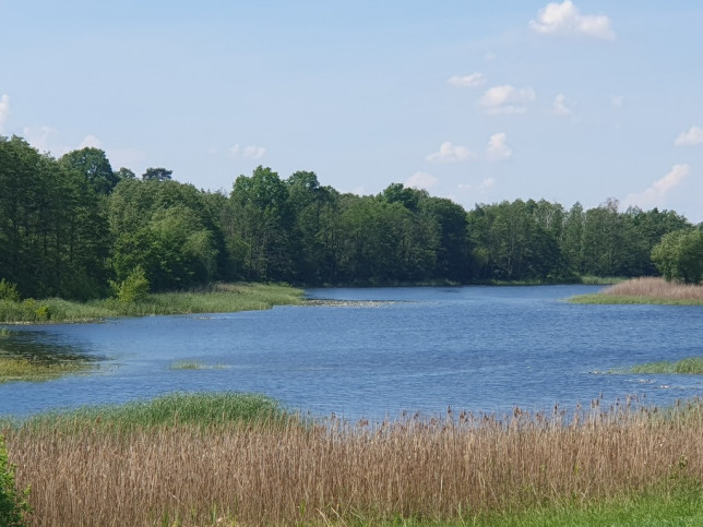 Działka Sprzedaż Zieleniewo 1