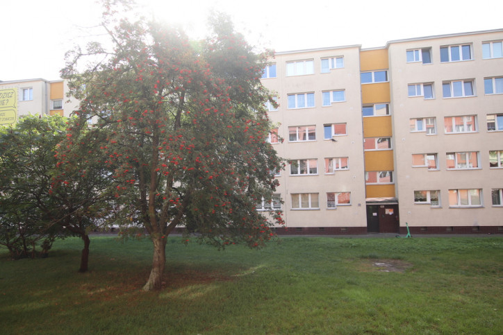 Mieszkanie Sprzedaż Szczecin Centrum 10