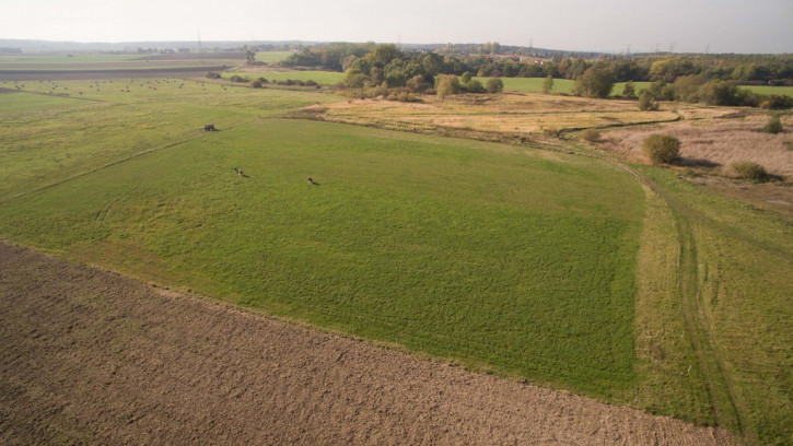 Działka Sprzedaż Szczecin Skolwin 16