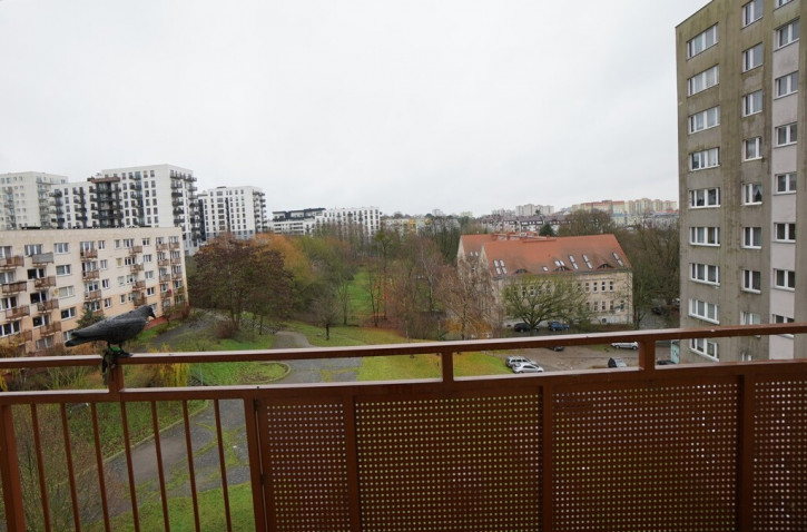 Mieszkanie Sprzedaż Szczecin Niebuszewo Zakole 13