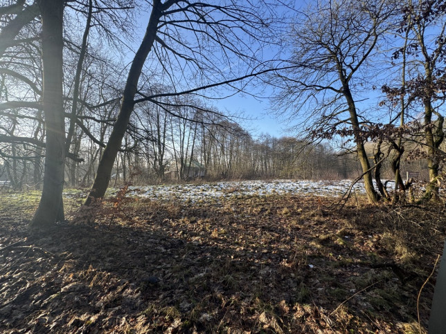 Działka Sprzedaż Goleniów 2