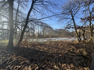 Działka Sprzedaż Goleniów