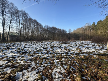 Działka Sprzedaż Goleniów