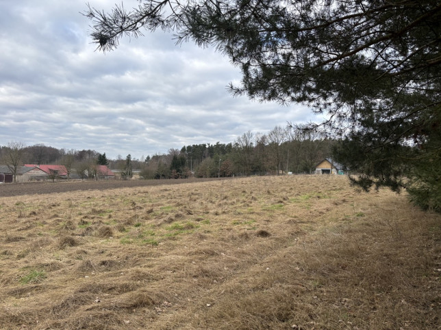 Działka Sprzedaż Kikorze 8