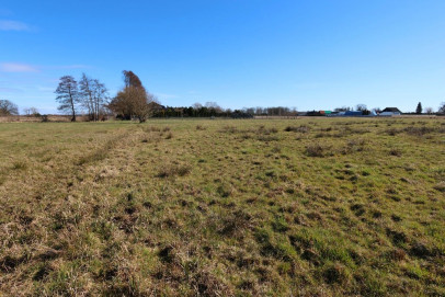 Działka Sprzedaż Lubczyna