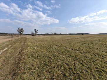 Działka Sprzedaż Stepnica