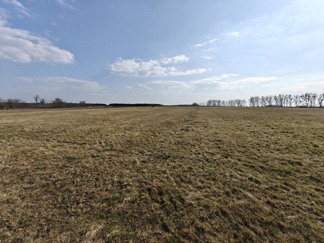 Działka Sprzedaż Stepnica 5