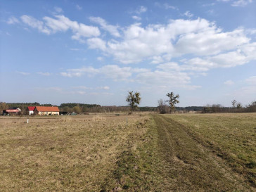 Działka Sprzedaż Stepnica