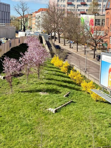 Mieszkanie Sprzedaż Szczecin Śródmieście-Centrum Unisławy 6