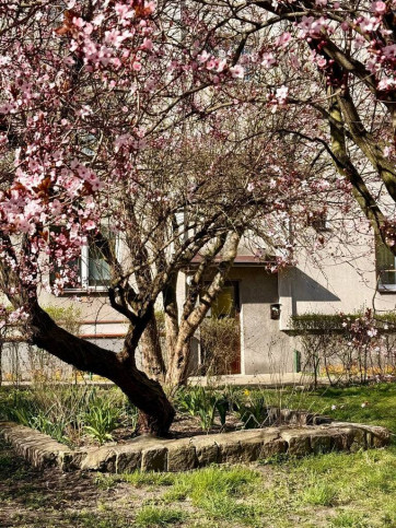 Mieszkanie Sprzedaż Szczecin Śródmieście-Centrum Unisławy 12
