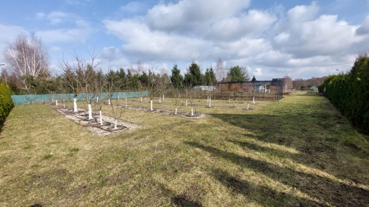 Działka Sprzedaż Oświno 7