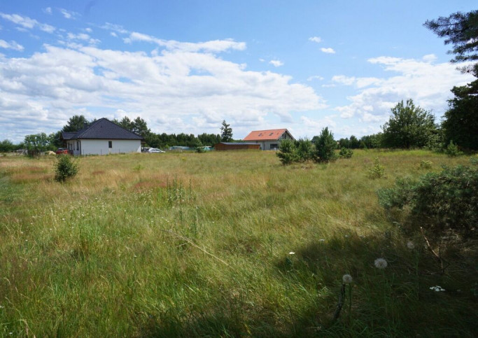 Działka Sprzedaż Dzisna 11