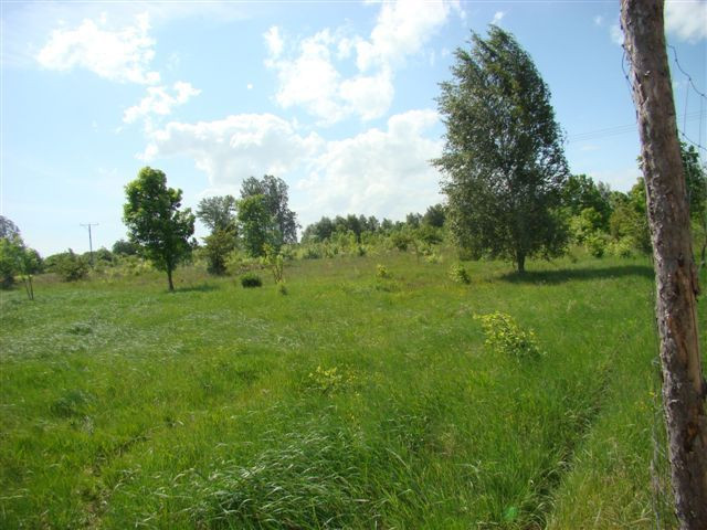 Działka Sprzedaż Stargard 2