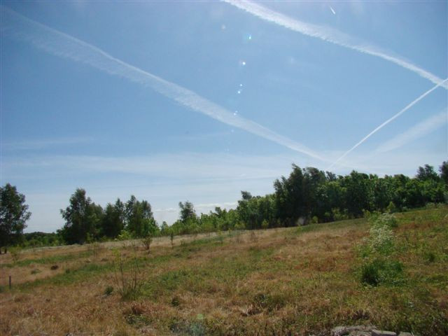 Działka Sprzedaż Stargard 1