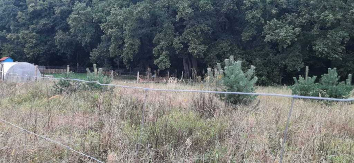 Działka Sprzedaż Swobnica 6