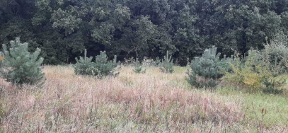 Działka Sprzedaż Swobnica